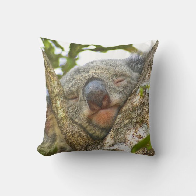 Almohada adorable del oso de koala (Anverso)