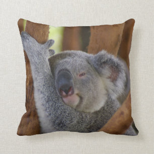Almohada adorable del oso de koala