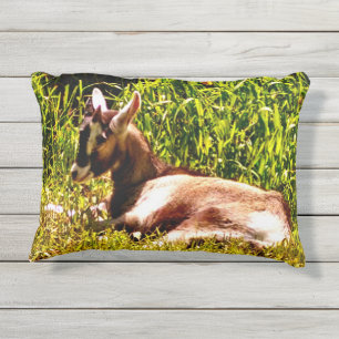 Almohada al aire libre de la cabra del bebé de do