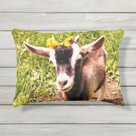Almohada al aire libre de la cabra del bebé de dos