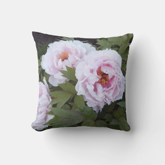 Almohada al aire libre de la tela del Peony bonito (Anverso)