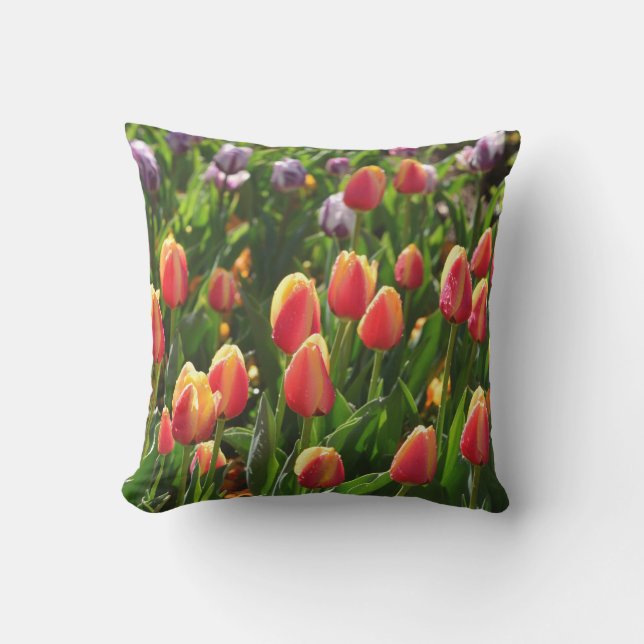 almohada al aire libre de los tulipanes de la (Anverso)
