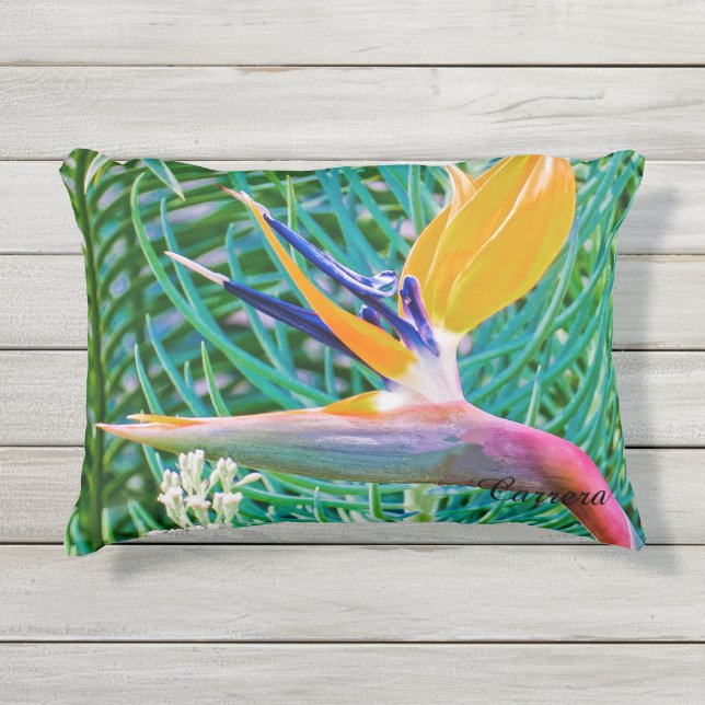 Almohada al aire libre, diseño de la ave del (Anverso)