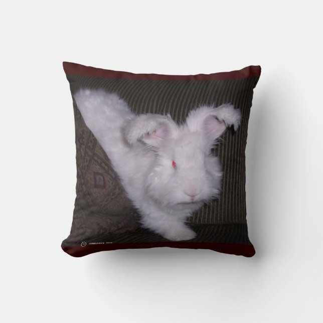 ALMOHADA ALEMANA DEL ANGORA BUNNIE (Anverso)
