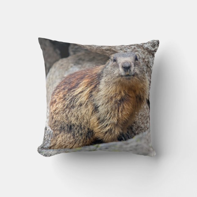 Almohada alpina de la marmota (Anverso)