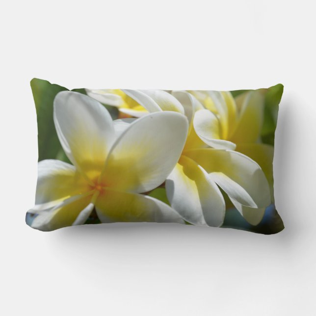 Almohada amarilla del Frangipani (Anverso)