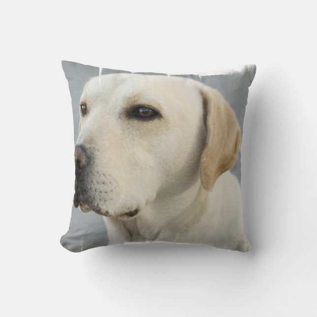 Almohada amarilla del laboratorio (Anverso)