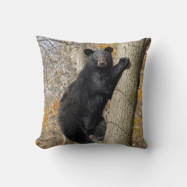 Almohada americana del árbol del oso que sube (Anverso)