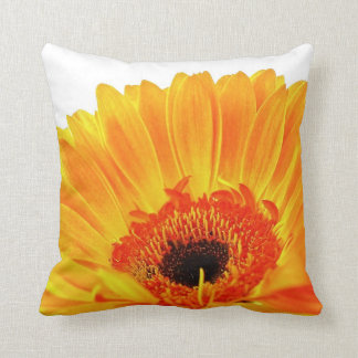 Almohada anaranjada brillante del Gerbera