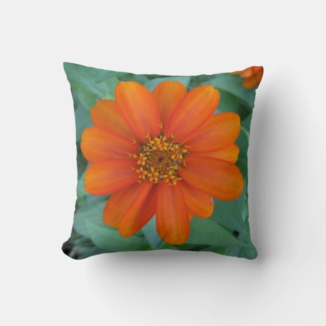 Almohada anaranjada de la flor (Anverso)