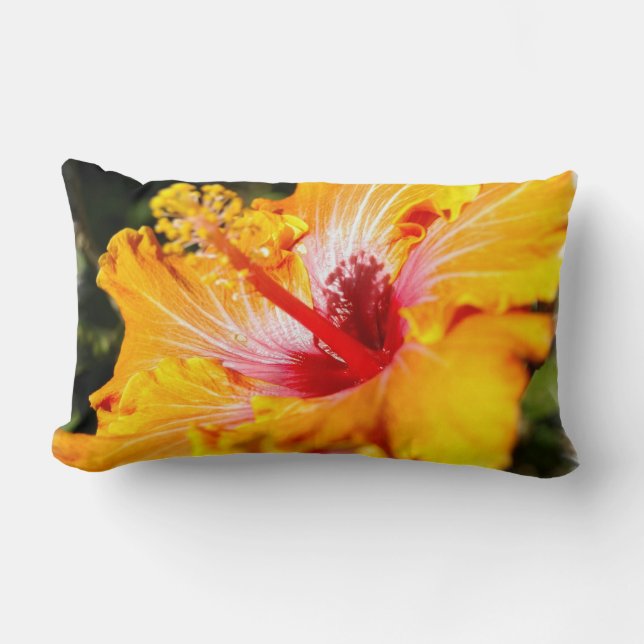 Almohada anaranjada del hibisco (Anverso)