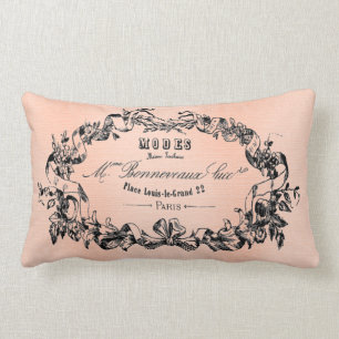 Almohada antigua francesa bonita del arte de Parí