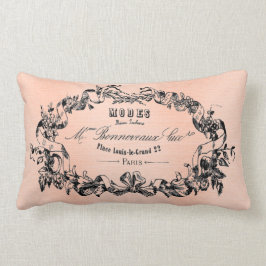 Almohada antigua francesa bonita del arte de París
