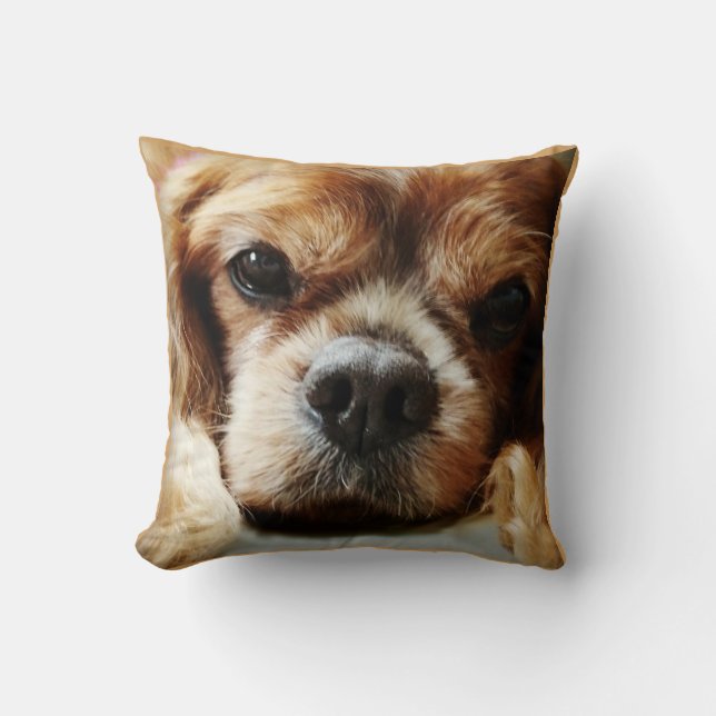 Almohada arrogante de rubíes 16x16 (Anverso)