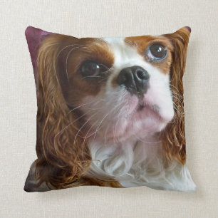 Almohada arrogante del amortiguador del perro de