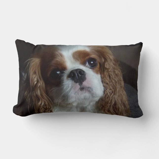 Almohada arrogante del amortiguador del perro de (Anverso)