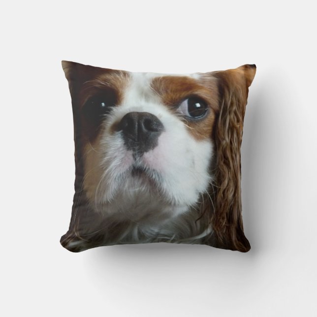 Almohada arrogante del amortiguador del perro de (Anverso)