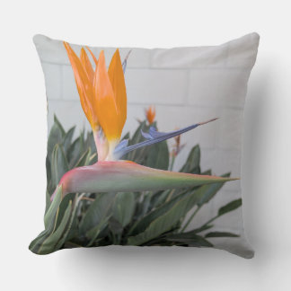 Almohada arrojadiza serie floral ave del paraíso