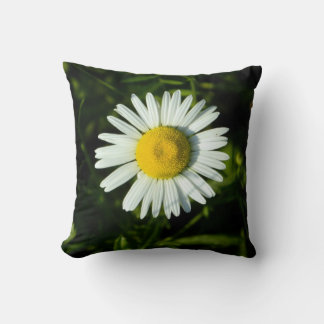 Almohada audaz de margarita Shasta