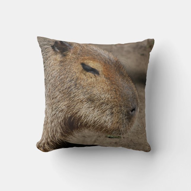 Almohada australiana del Capybara (Anverso)