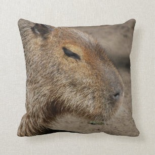 Almohada australiana del Capybara