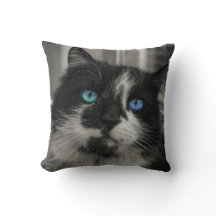 Almohada Azul Alma Gato Negro Ojos Azules