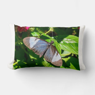 Almohada azul de imagen de mariposa