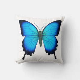 Almohada azul de la mariposa de Papilio Ulises