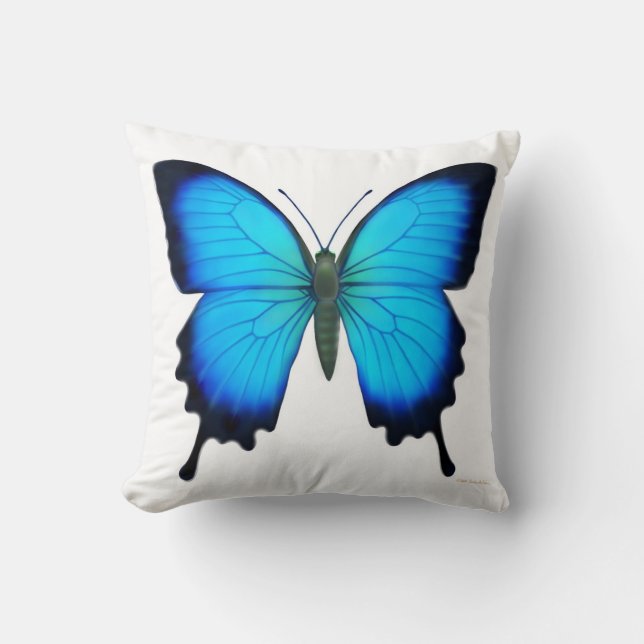 Almohada azul de la mariposa de Papilio Ulises (Anverso)