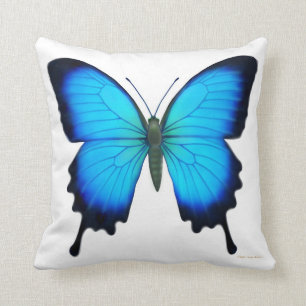 Almohada azul de la mariposa de Papilio Ulises