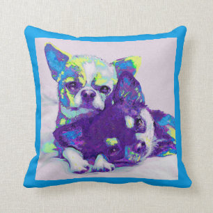 almohada azul de las chihuahuas
