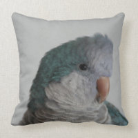 Almohada azul del loro del Quaker