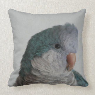 Almohada azul del loro del Quaker
