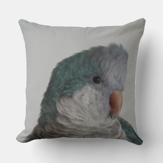 Almohada azul del loro del Quaker (Anverso)