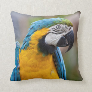 Almohada azul y amarilla del Macaw