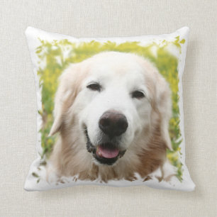 Almohada bilateral de MoJo del americano de CHO