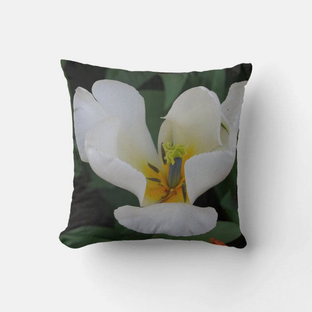 almohada blanca brillante (Anverso)