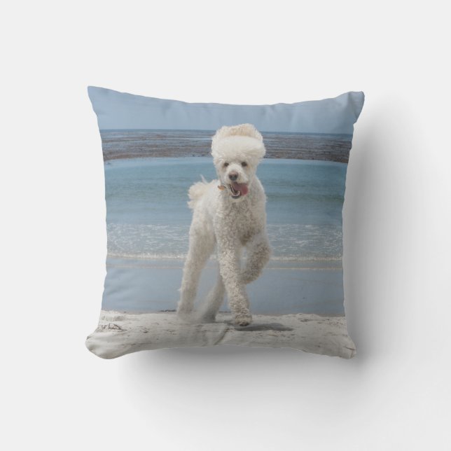 Almohada blanca del caniche (Anverso)
