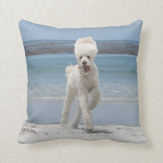 Almohada blanca del caniche