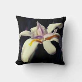 Almohada Blanca y Lirio Morado 
