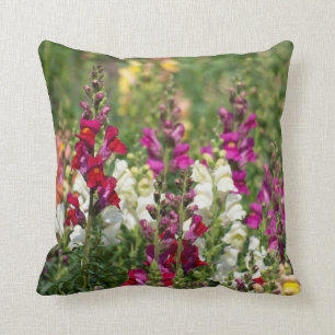 Almohada bonita de Snapdragons.