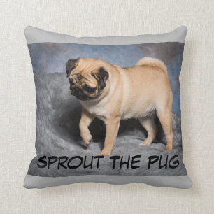 Almohada bonita del barro amasado