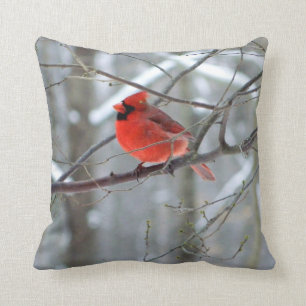 Almohada cardinal roja alegre