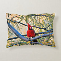 Almohada cardinal "visitante del cielo "