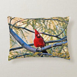 Almohada cardinal "visitante del cielo "