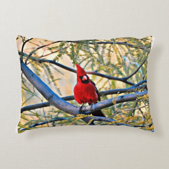 Almohada cardinal "visitante del cielo " (Anverso)