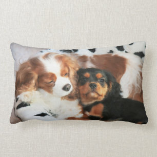 Almohada Cavalier King Charles Spaniel Perro y Cac