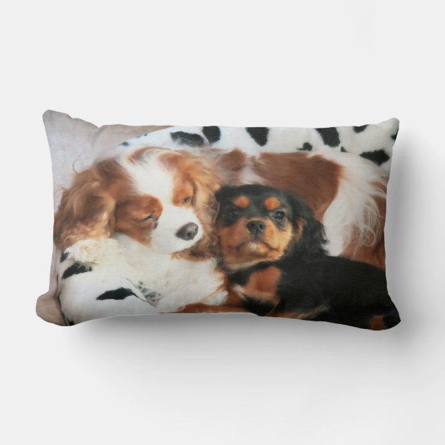 Almohada Cavalier King Charles Spaniel Perro y Cac (Anverso)