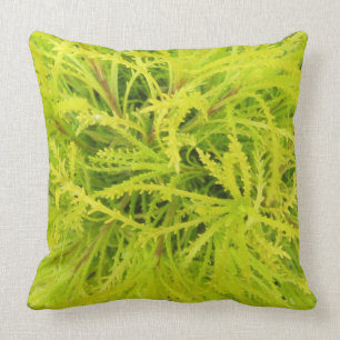 Almohada chartreuse