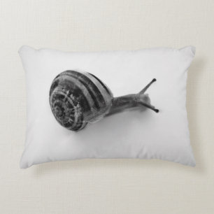 Almohada con acento
